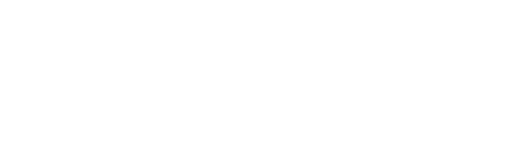 ARGUS Sicherheit GmbH